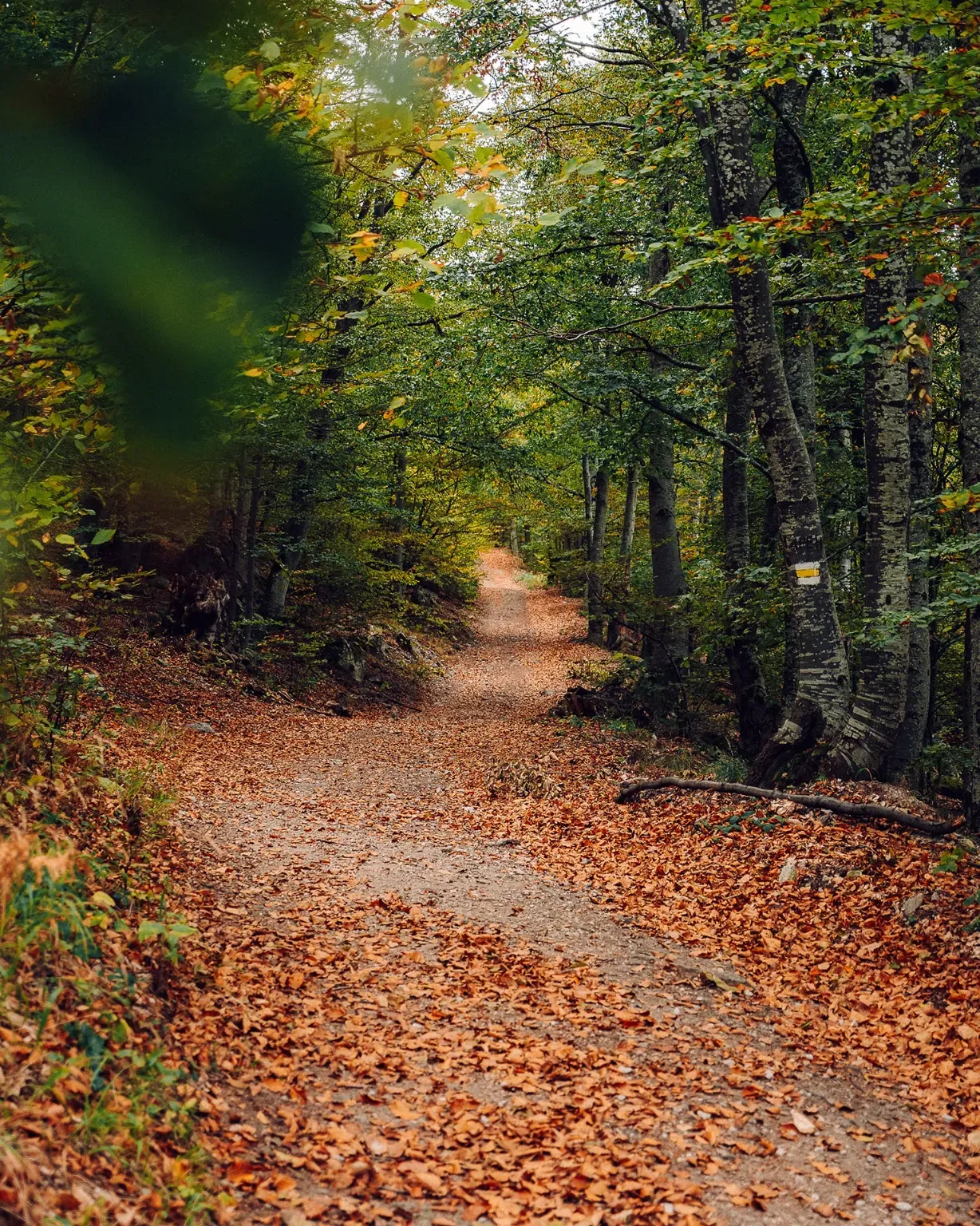 trekking-dannyspasov-1