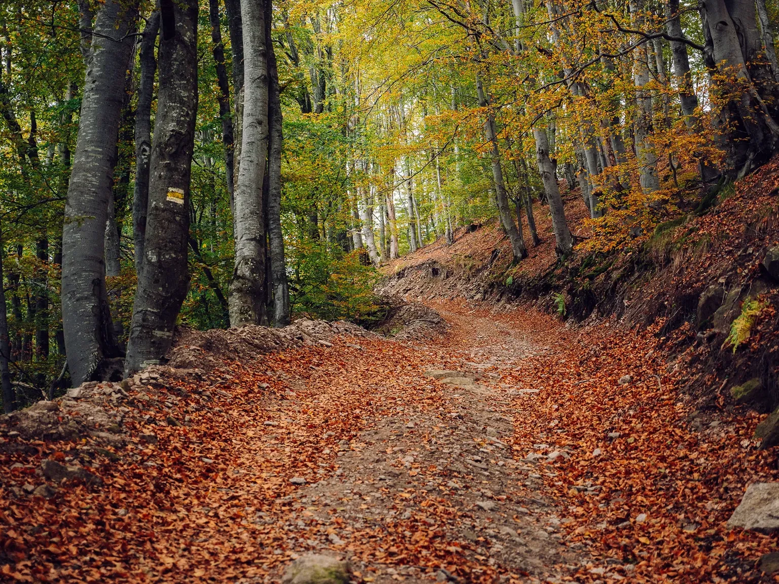 trekking-dannyspasov-2